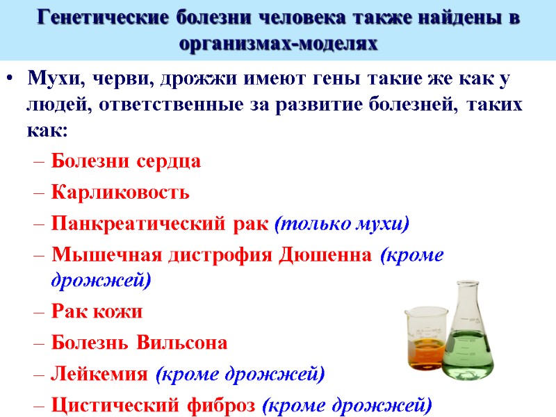 Генетические болезни человека также найдены в организмах-моделях Мухи, черви, дрожжи имеют гены такие же